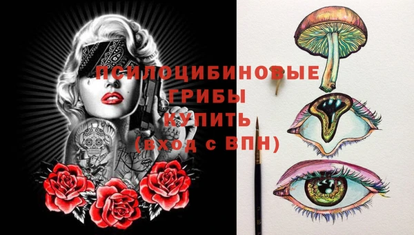 ГАЛЛЮЦИНОГЕННЫЕ ГРИБЫ Алзамай