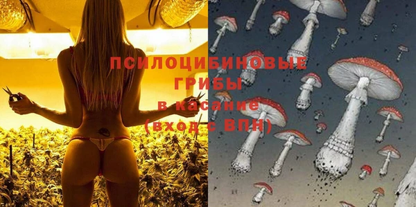 ГАЛЛЮЦИНОГЕННЫЕ ГРИБЫ Алзамай