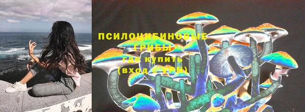 ГАЛЛЮЦИНОГЕННЫЕ ГРИБЫ Алзамай