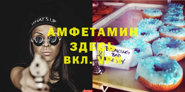 ГАЛЛЮЦИНОГЕННЫЕ ГРИБЫ Алзамай